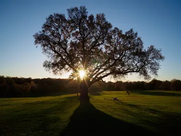 Photo by Amateur Photographer