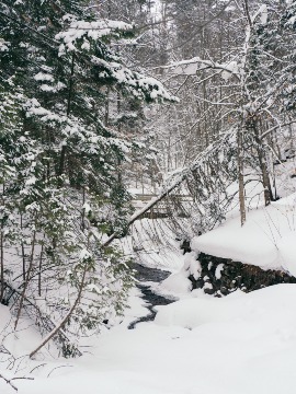 Photo by The Phoblographer