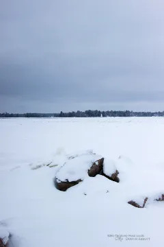 Photo by Dustin Abbott