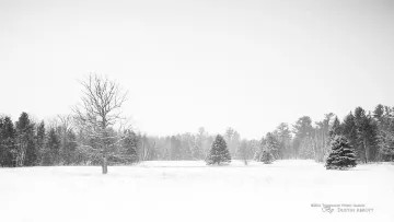 Photo by Dustin Abbott