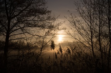 Photo by Jonathan Slack