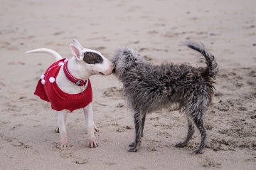 Photo by Jonathan Slack