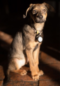 Photo by Jonathan Slack