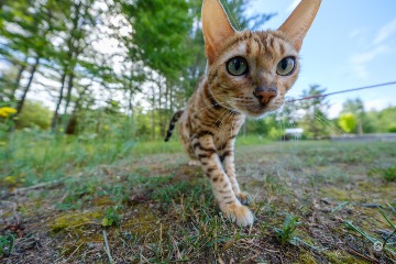 Photo by Dustin Abbott