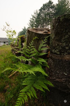 Photo by Dustin Abbott