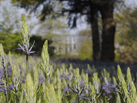 Photo by Camera Jabber