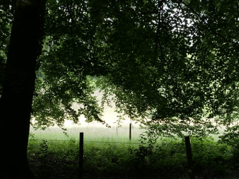 Photo by Camera Jabber