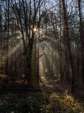 Photo by metalairplane