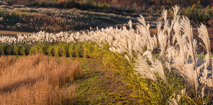 Photo by *I* Steve&#x27;s Outtakes