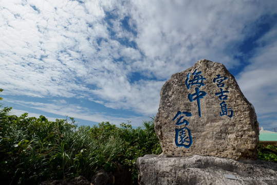 Photo by Rentio PRESS