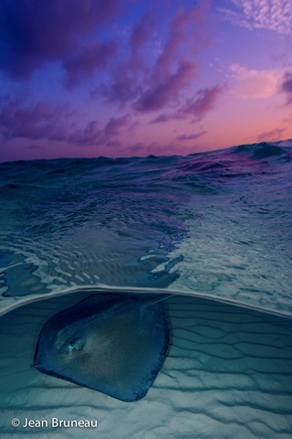 Photo by Jean Bruneau