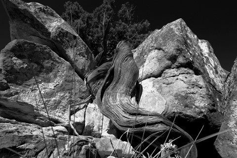 Photo by abiquiuense