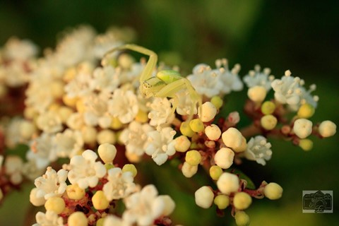 Photo by 439201609aMILANO-88