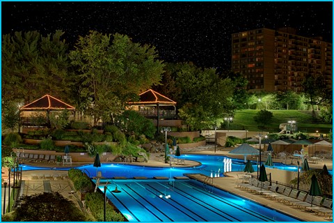 Photo by landscaper1