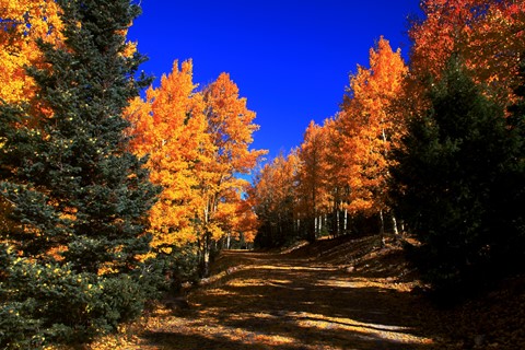 Photo by abiquiuense