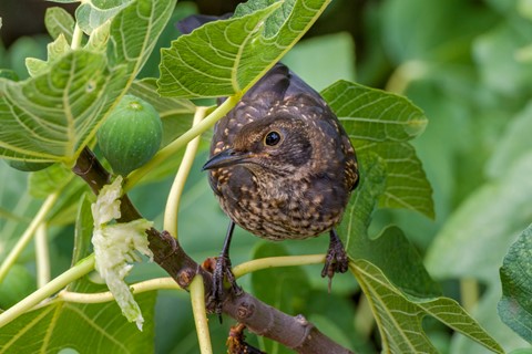 Photo by Martin Barak