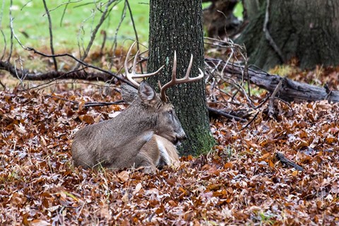 Photo by tim and jan