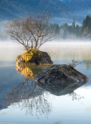 Photo by PlanetSteph