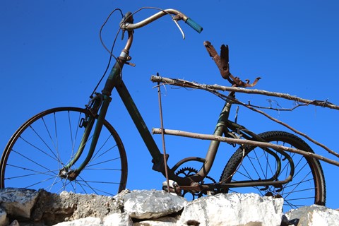 Photo by Bristol Smarty