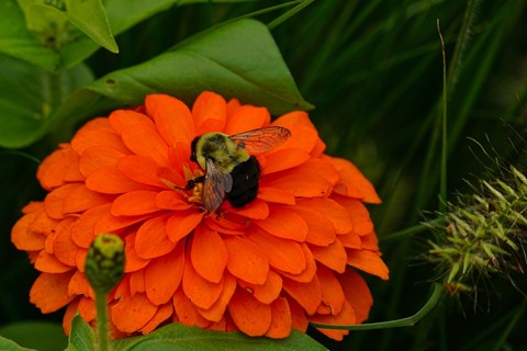 Photo by Joachim Wulfers