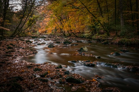 Photo by Adam Martin