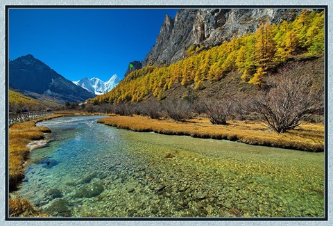 Photo by lim yau tong