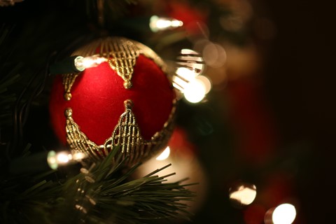 Photo by James Larsen