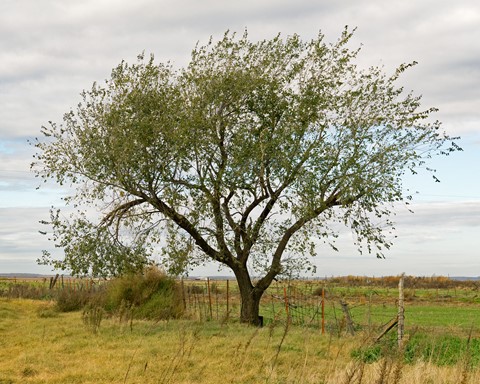 Photo by flatlander321