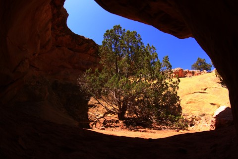 Photo by abiquiuense