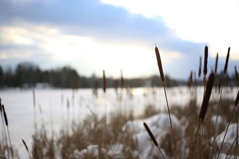 Photo by James Larsen