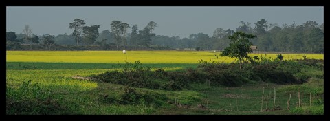 Photo by Bhimaprasad Maiti