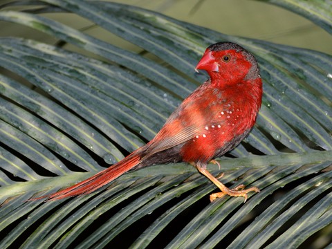 Photo by timvanleeuwen