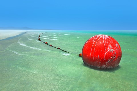 Photo by George Veltchev