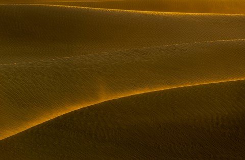 Photo by Mohammed Al Ali