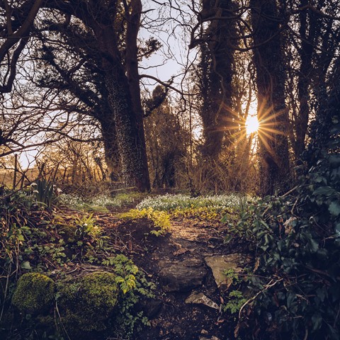 Photo by Thornton Path