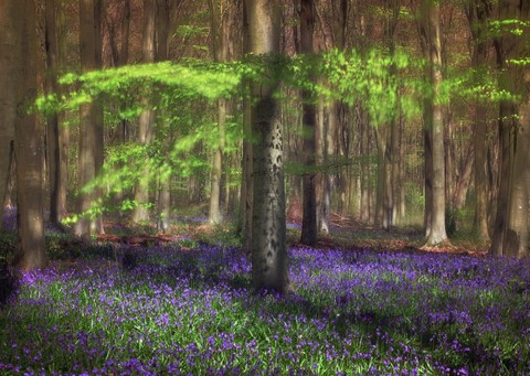 Photo by Stephenhampshire