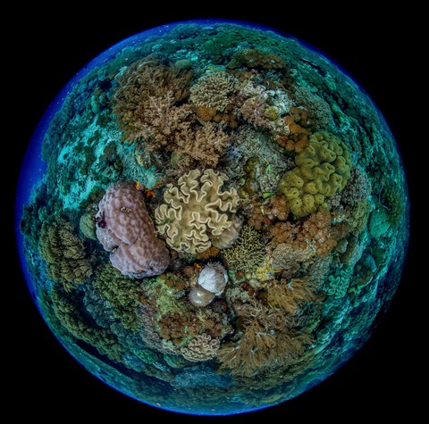 Photo by Jean Bruneau