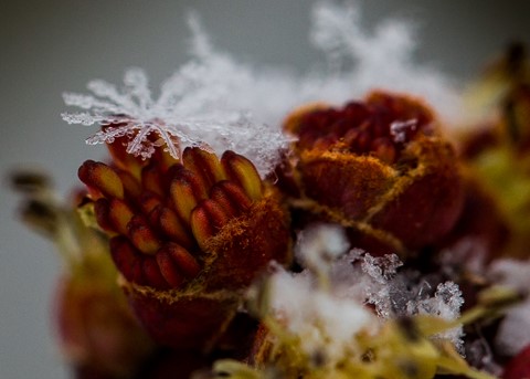 Photo by Is winter or spring?