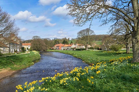 Photo by donaldc2017