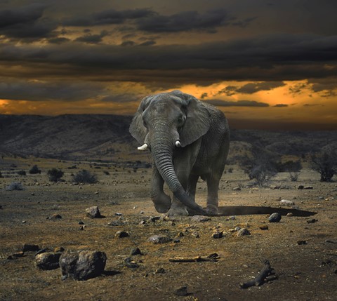 Photo by George Veltchev