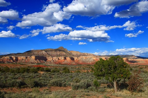 Photo by abiquiuense