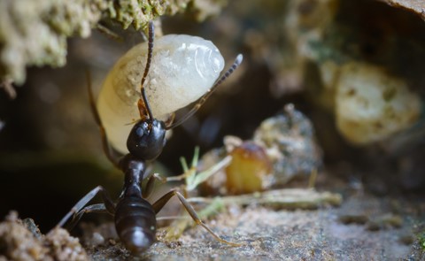 Photo by Colony move..