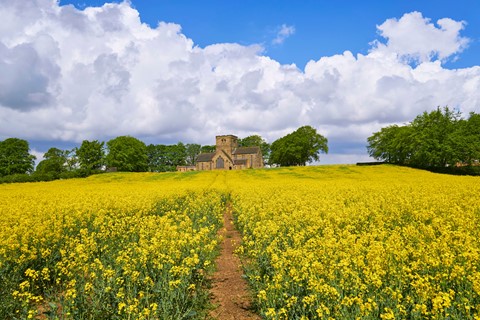 Photo by donaldc2017