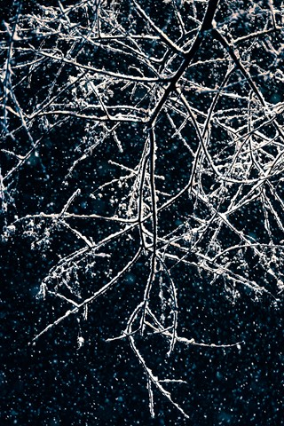 Photo by RoyBatty888