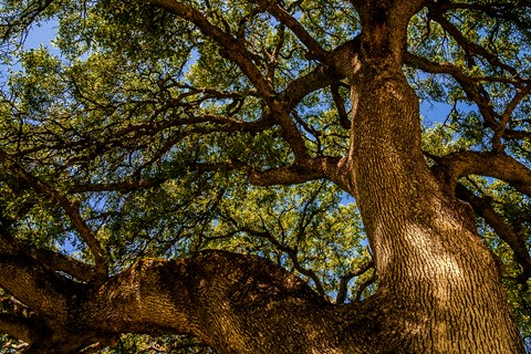 Photo by Deviantfotografer