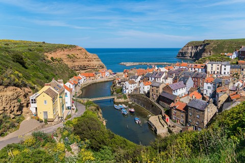 Photo by donaldc2017