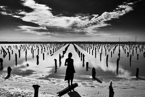 Photo by Stanislav M