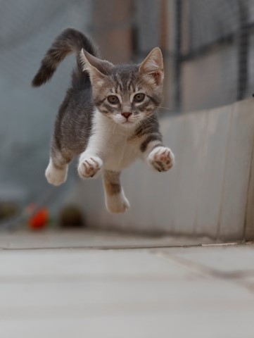 Photo by Aris Matsoukas