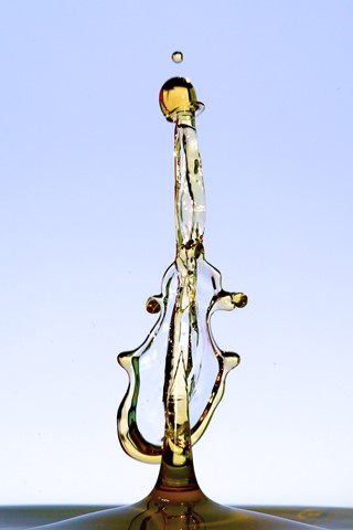 Photo by Guilherme Sanches