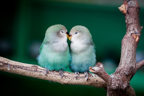 Photo by dariahuxley